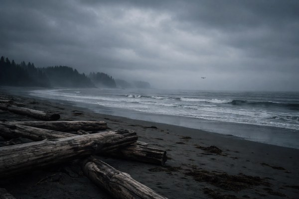 AI-generated: A dark, cloudy beach scene with large driftwood logs scattered across the sand in the foreground. Ocean waves roll onto the shore, and misty coastal forests are visible in the background. A seaplane is seen on the horizon. The atmosphere is moody and dramatic.
