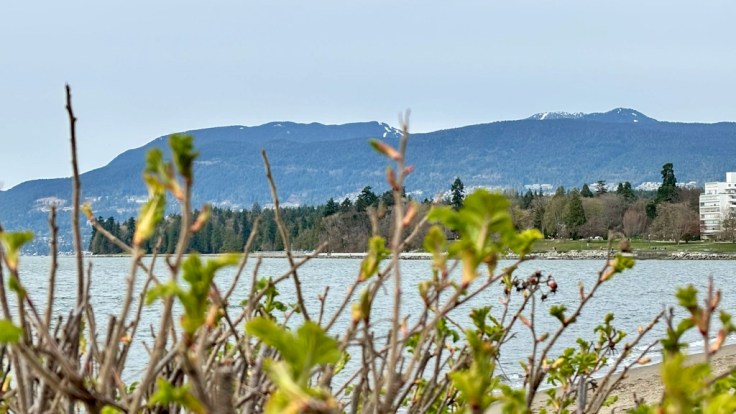 View across English Bay with calm water, distant mountains, and a shoreline framed by green shrubs in the foreground under clear daylight.